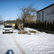 Išpjauti medžius, šaknis ir išlyginti sklypą