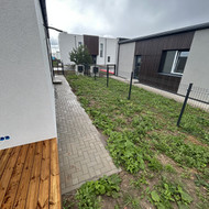 Vejos įrengimas: sėjimas, ruloninė veja