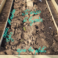 Šiltnamio automatizuotos laistymo sistemos