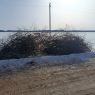 Šakų išvežimas arba smulkinimas