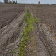 Dėl lauko kelio sutvarkymo paslaugų, kurios yra reikalingos mano  teritorijoje