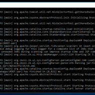 Ieškomas Java programuotojas peržiūrėti ir stabilizuoti senesnę web sistemą