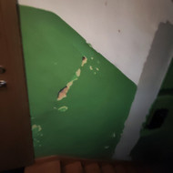 Seno tinko pašalinimas