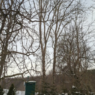 Avarinių medžių pjovimas