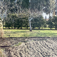 Vaismedžių genėjimas