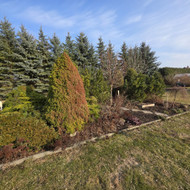 Pasenusio alpinariumo sutvarkymas naujai