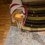 Baldų restauravimas, remontas