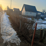 Gyvatvores naikinimas