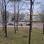 Bokštelio, keltuvo nuoma