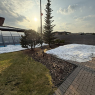 Aplinkos apželdinimas