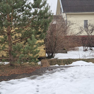 Apleistų sklypų tvarkymas