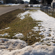 Ieškau vejos atnaujinimo, gerbūvio sutvarkymo paslaugų