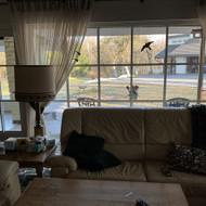 Ieškau valymo paslaugų