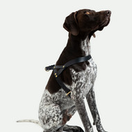 Reikia suretusuoti 150 vnt nuotrauku baltam fone