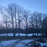 Ieškau arboristų dviem darbams: nukirsti išpuvusią liepą ir apgenėti eglę