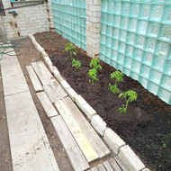 Šiltnamio įstiklinimas ir išklojimas trinkelėmis arba plytelėmis