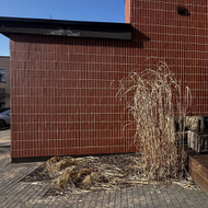 Apsodinti ir sutvarkyti darželį