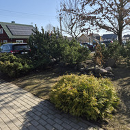 Ieško apželdintojo