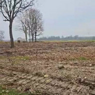 Vejos priežiūra, įrengimas