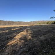 Aplinkos sutvarkymas