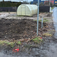 Kiemo, aplinkos apželdinimas