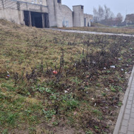 Prie pastato sutvarkyti aplinką (surinkti šiukšles)