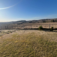 Kiemo, aplinkos apželdinimas