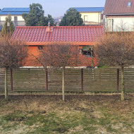 Medžių genėjimas, pjovimas