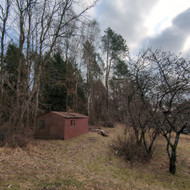 Reikia ispjauti medzius ir isvezti