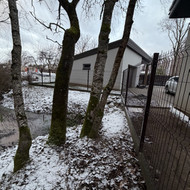 Medžių genėjimas, pjovimas