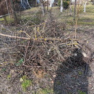 Šiukšlių, gruzo išvežimas