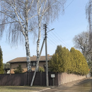 Beržo ir aukštos gyvatvorės genėjimas. Reikalingas bokštelis.