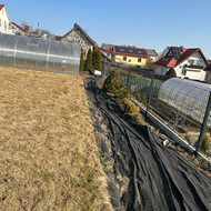 Gerbuvio tvarkymas, gelynu paruošimas