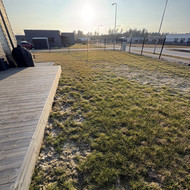 Vejos aeravimas/skarifikavimas ir tręšimas