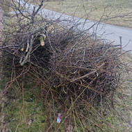 Šiukšlių išvežimas