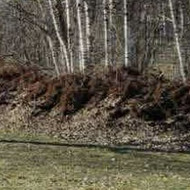 Ekskavatorius su sakem nuomai