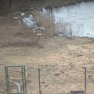 Transejos kasimas drenazui