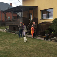 Domina pastatyti naują stoginę