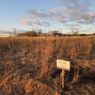 Reikia nušienauti 11a.