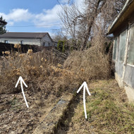 Apleisto sklypo tvarkymas. Medziu, krumu kirtimas