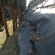 Aplinkos tvarkymas, apželdinimas