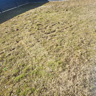 Vejos įrengimas nuo iki