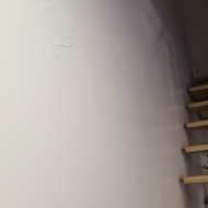 Norime persidažyti laiptinės sieną