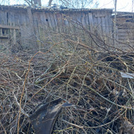 Šakų smulkintuvo nuoma