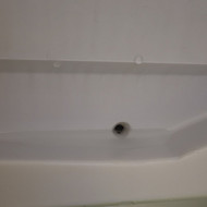 Šaldytuvų remontas