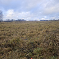 Vejos priežiūra, įrengimas