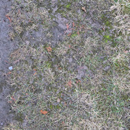 Vejos priežiūra, įrengimas