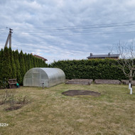 Ieškau paslaugų..sutvarkyti tujas