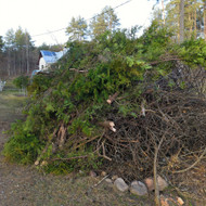 Reikia isvezti sakas lapes