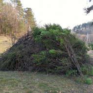 Skubiai isvezti sakas Lapes ( Tauralaukis)